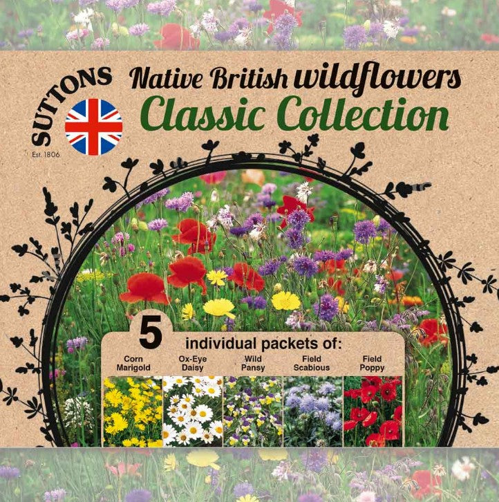 Wild Flowers Ultimate Mix Flower Seeds