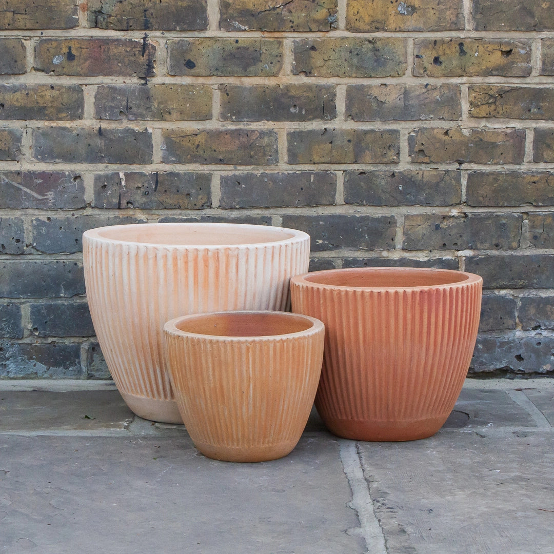 Whitewash Vert Ribbed Egg Terracotta Planter