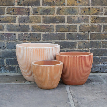 Whitewash Vert Ribbed Egg Terracotta Planter