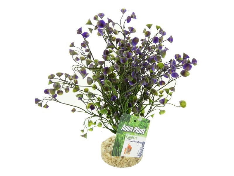 Aquarium Water Wild Grass