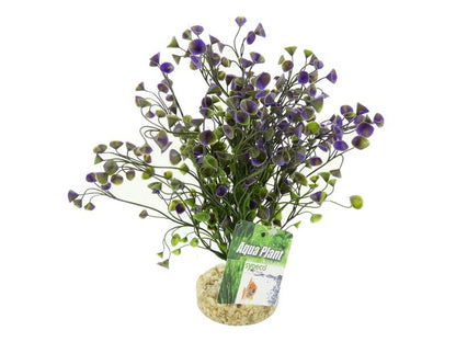 Aquarium Water Wild Grass