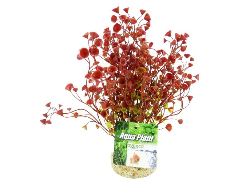 Aquarium Water Wild Grass