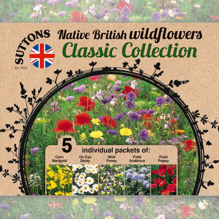 Wildflower Seeds Collection