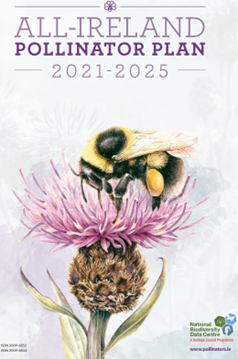 Pollinator-Plan