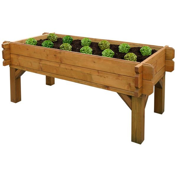 Woodford Raised Vegetable Box