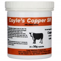 Coyle Copper SR Bolus (30g) - Single Bolus