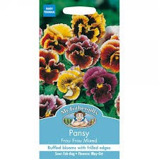 Pansy Frou Frou Mixed