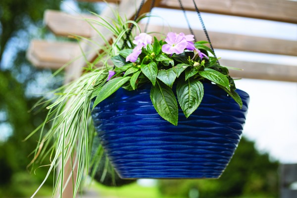 Windermere Hanging Basket Blue