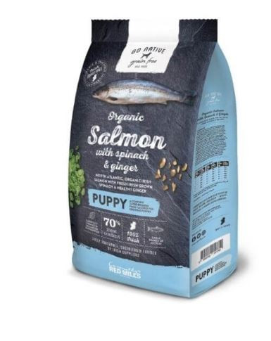 Go Native Puppy Salmon With Spinach & Ginger