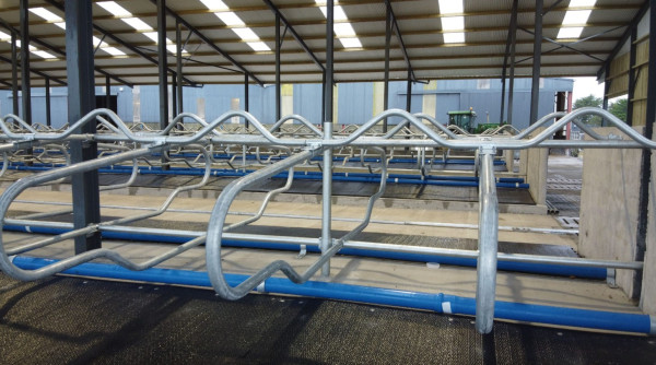 Single Row Adjustable Cantilever Cubicle 6ft 9in