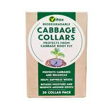 Biodegradable Cabbage Collars - Pack of 30