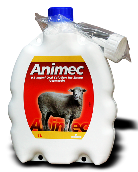 Animec Oral Sheep