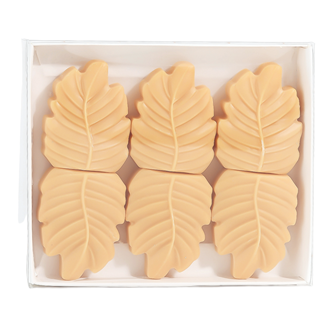 Amber & Sandalwood Box of 6 Leaf Shaped Wax Melts by Woodbridge