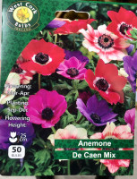 Anemone De Caen Mixed Varieties 50 Bulbs