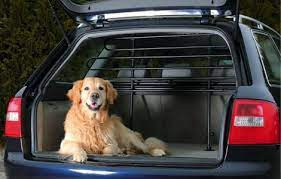 Standard Dog Guard For Cars