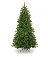 North Valley Spruce Tree - 9ft
