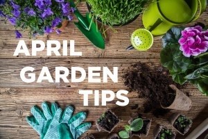 April-gardening-tips