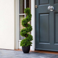 Topiary Twirl 90 cm