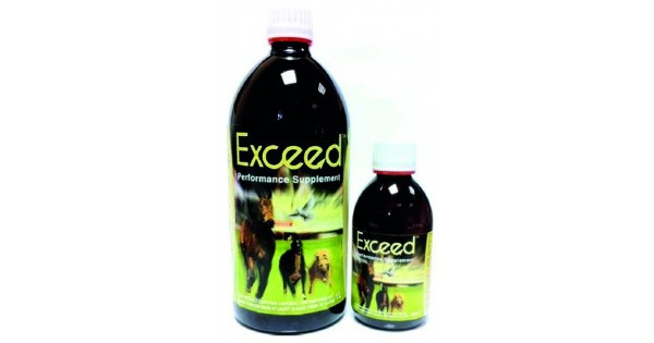 Exceed - 250ml