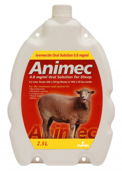 Animec Oral Sheep