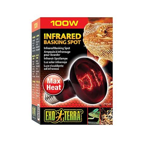 Exo Terra Heat Glo Infared Bulb - 100W