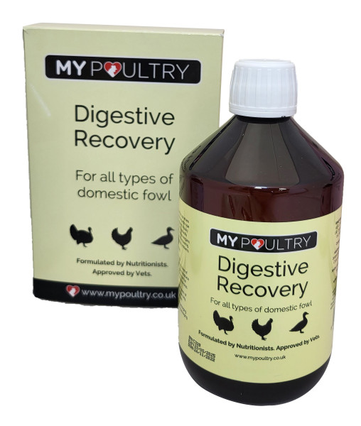 My Poultry Digestive Recovery 500ml
