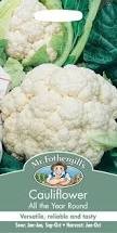 Cauliflower All Year Round