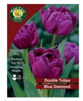 Tulip Blue Diamond 8 Bulbs