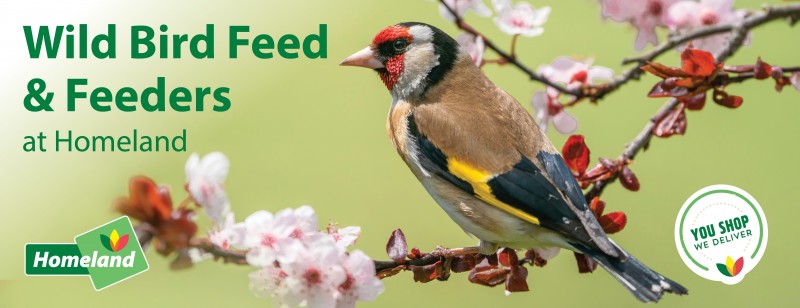 Wild Bird Food & Feeders