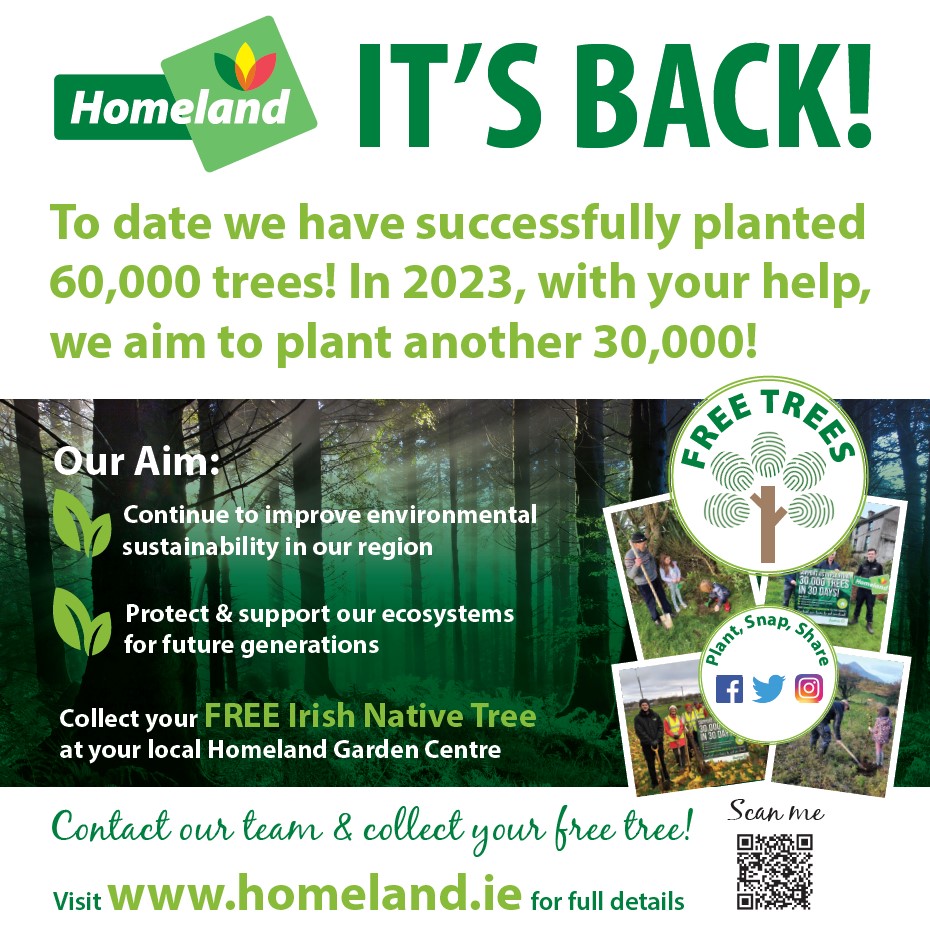 IT'S BACK: 30,000 Trees in 30 Days 2023 |Tips & Advice |About Us ...