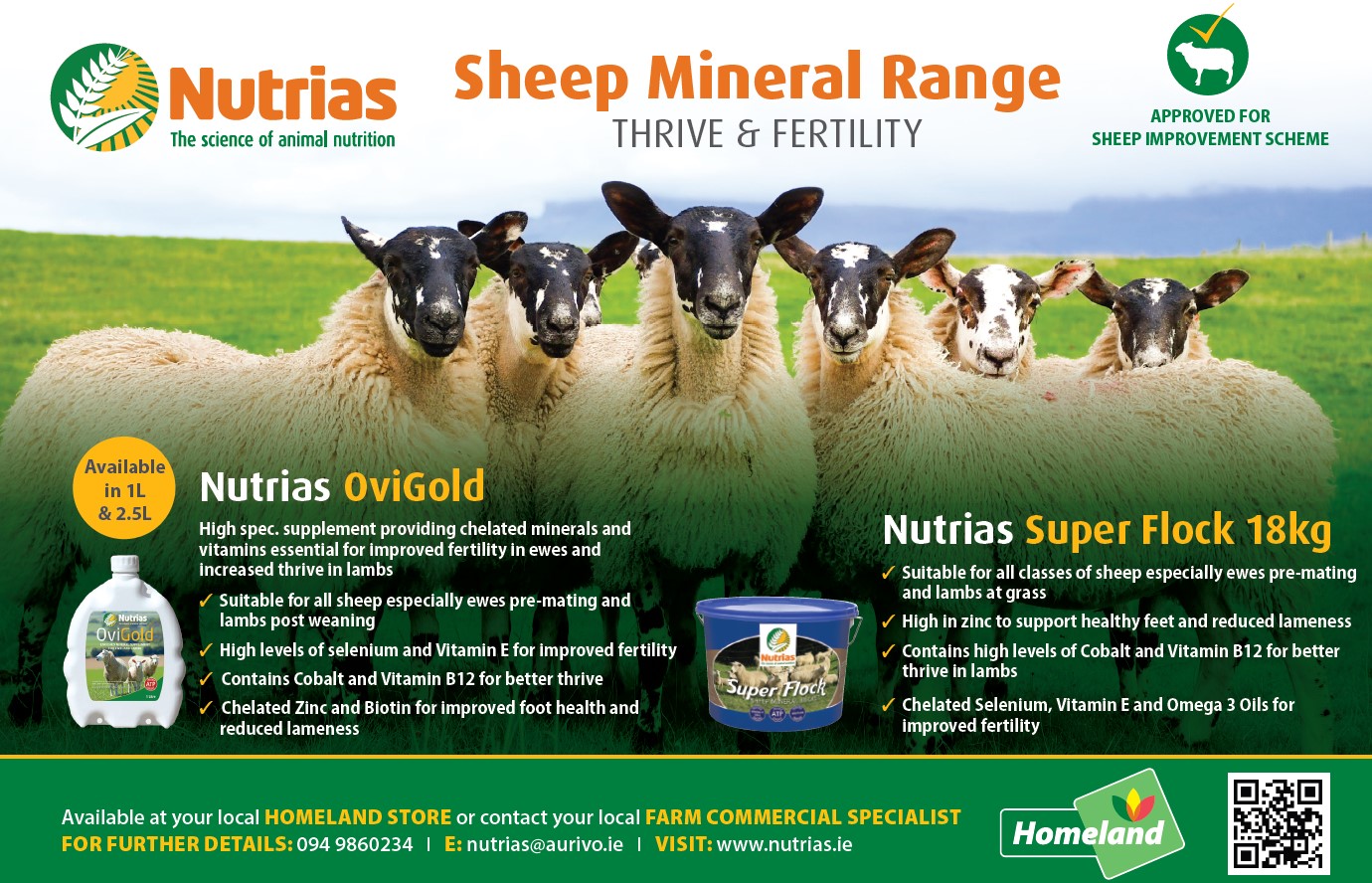 sheep-mineral-advert